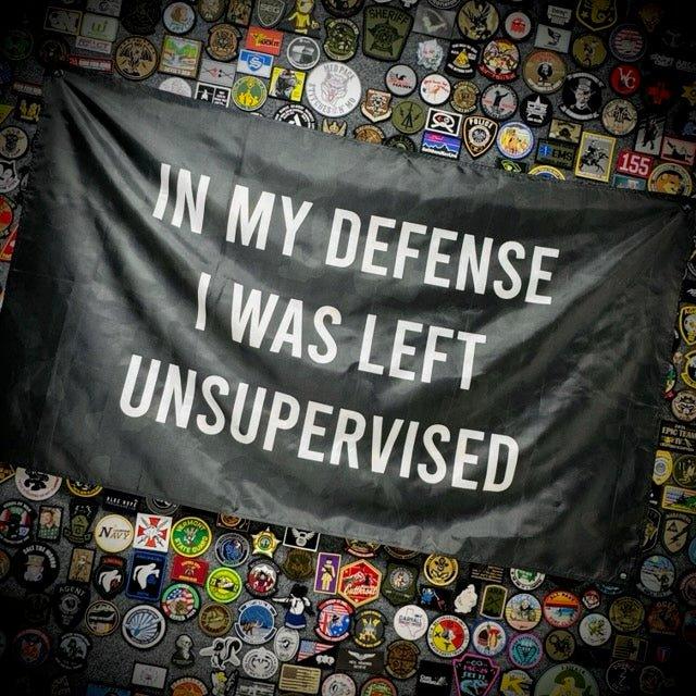In My Defense I Was Left Unsupervised - 3'x5' - Wall Banner